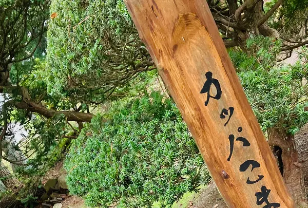 常堅寺の写真・動画_image_631946