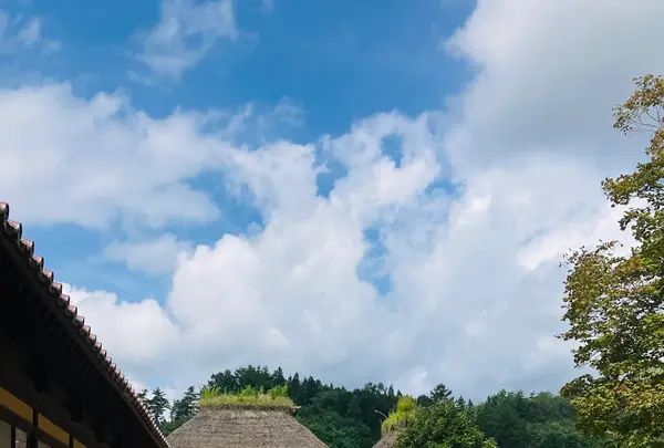 伝承園の写真・動画_image_631954