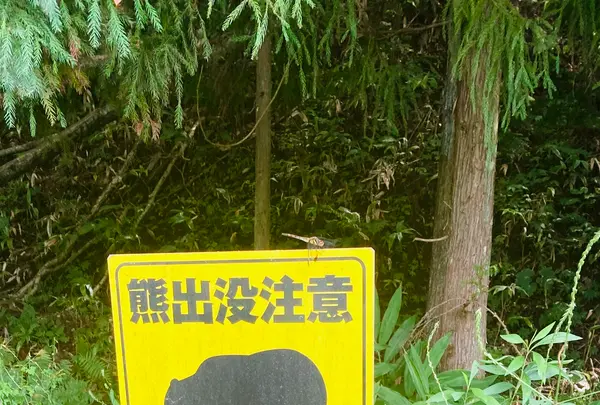 五百羅漢の写真・動画_image_631960