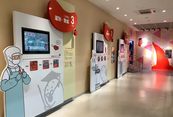 めんたいパークとこなめの写真・動画_image_632669