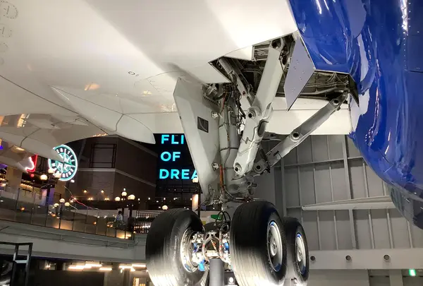 FLIGHT OF DREAMS FLIGHT PARK (フライト・オブ・ドリームズ フライトパーク）の写真・動画_image_632674