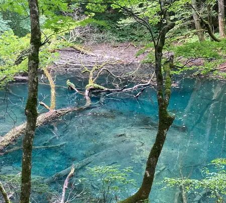 十二湖の写真・動画_image_632808