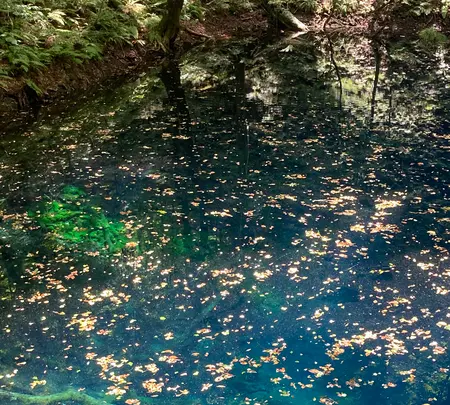 十二湖の写真・動画_image_632809