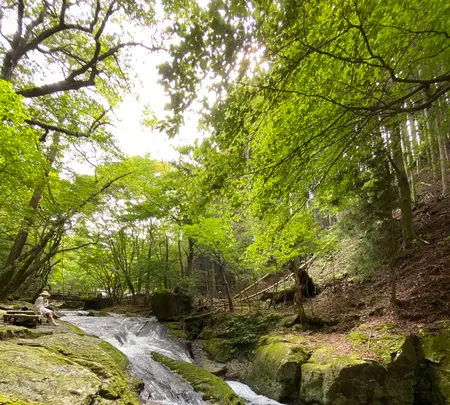 小太郎茶屋の写真・動画_image_633570
