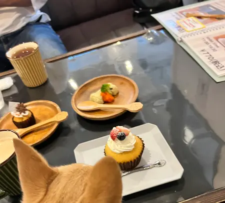 mofmof garden MARUYAMAの写真・動画_image_633735