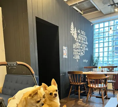 mofmof garden MARUYAMAの写真・動画_image_633736