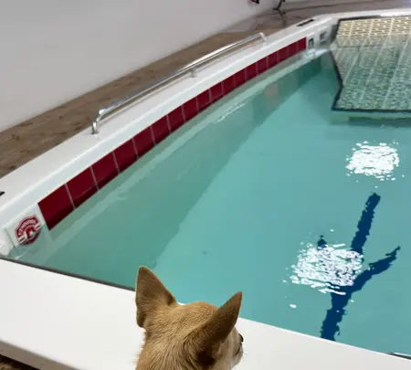 1/2 Hounds AQUAの写真・動画_image_633742