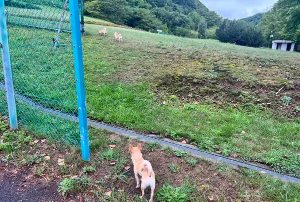 三笠緑地の写真・動画_image_633755