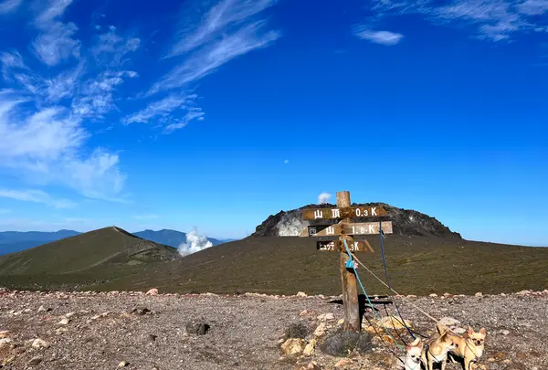 樽前山の写真・動画_image_633761