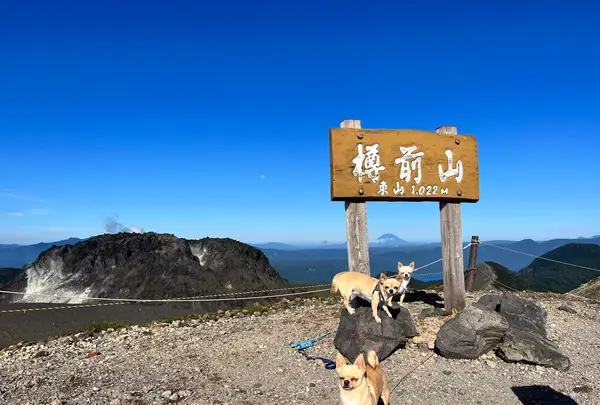 樽前山の写真・動画_image_633762