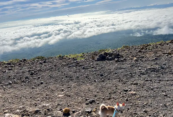 樽前山の写真・動画_image_633763