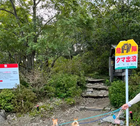 樽前山の写真・動画_image_633764