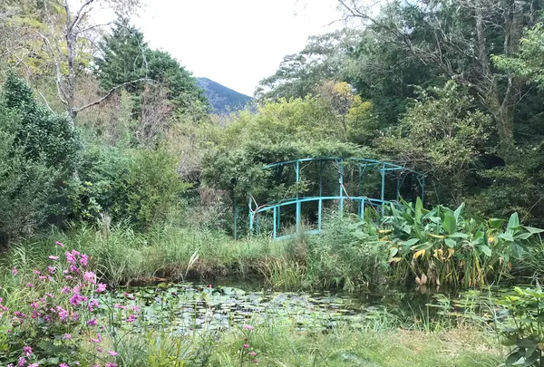 箱根ラリック美術館の写真・動画_image_633830