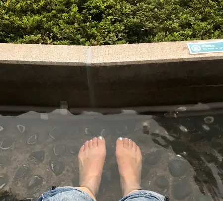 彫刻の森美術館の写真・動画_image_633836