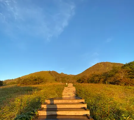 日光市霧降高原 キスゲ平園地の写真・動画_image_633860