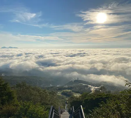 日光市霧降高原 キスゲ平園地の写真・動画_image_633861