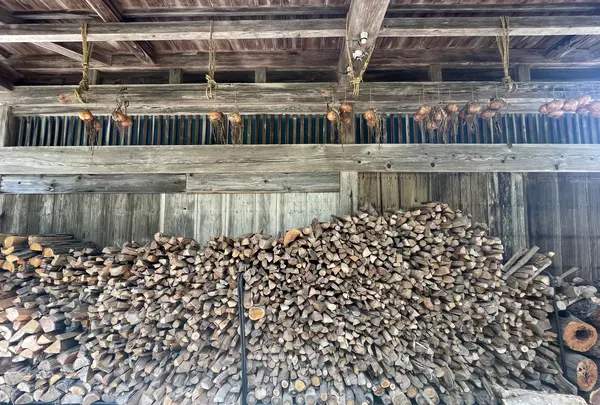 縁日の写真・動画_image_635773