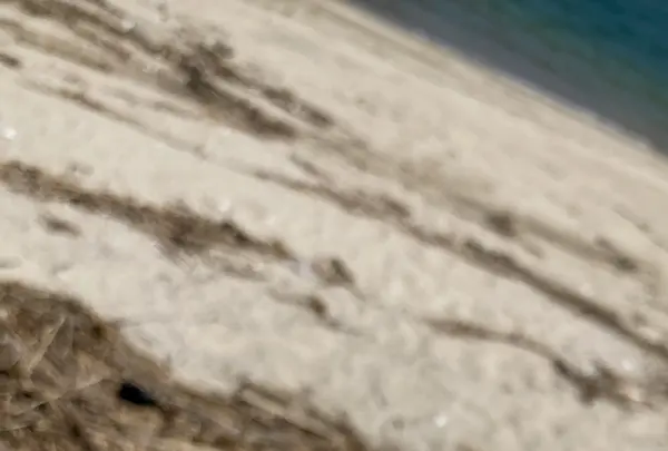 からつバーガーの写真・動画_image_636160