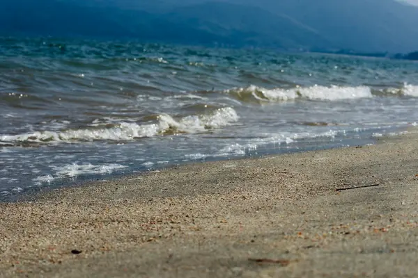 東の浜 海水浴場の写真・動画_image_636165