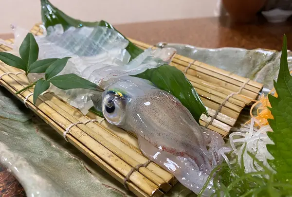 かもめ亭の写真・動画_image_636205