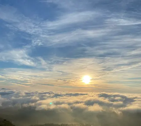 日光市霧降高原 キスゲ平園地の写真・動画_image_636414