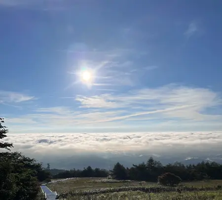日光市霧降高原 キスゲ平園地の写真・動画_image_636415