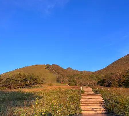 日光市霧降高原 キスゲ平園地の写真・動画_image_636417