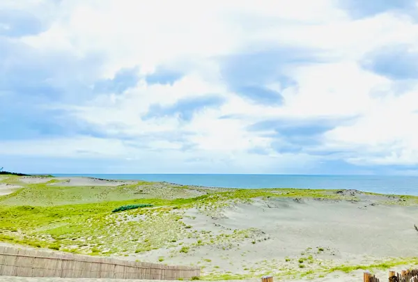 中田島砂丘の写真・動画_image_636902