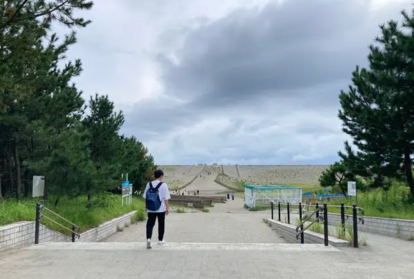 中田島砂丘の写真・動画_image_636903