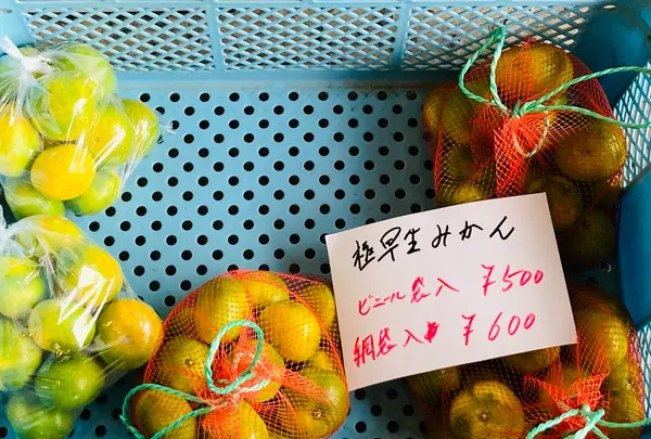 入河屋 三ヶ日本店の写真・動画_image_636909