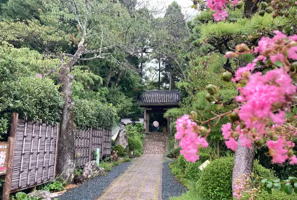 龍潭寺の写真・動画_image_636948