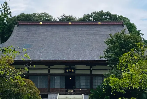 龍潭寺の写真・動画_image_637177
