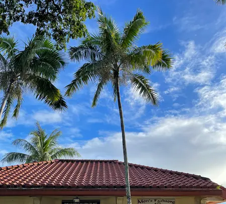 Chamorro Villageの写真・動画_image_637881