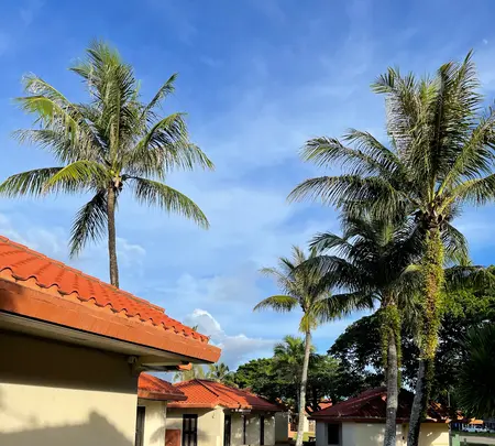 Chamorro Villageの写真・動画_image_637882