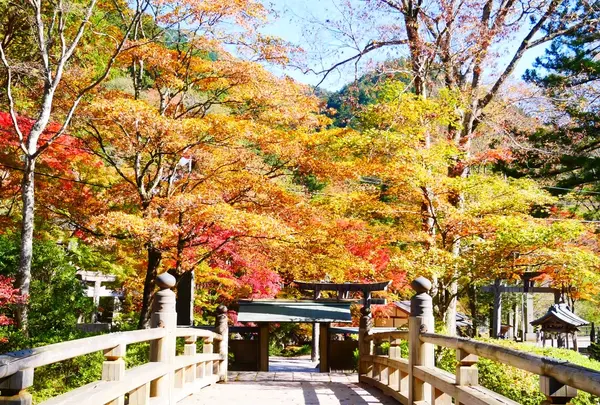 古峯神社の写真・動画_image_637926