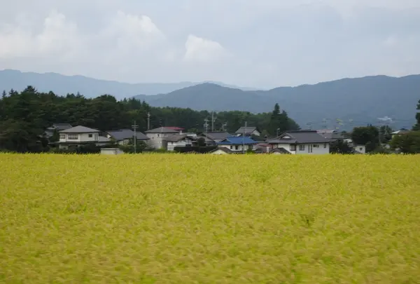 北八ヶ岳ロープウェイの写真・動画_image_638152