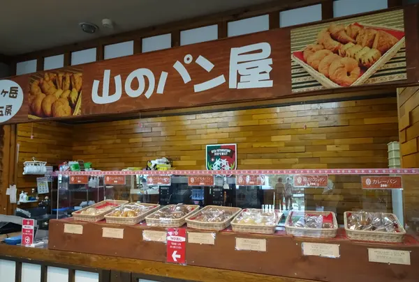 北八ヶ岳ロープウェイの写真・動画_image_638161