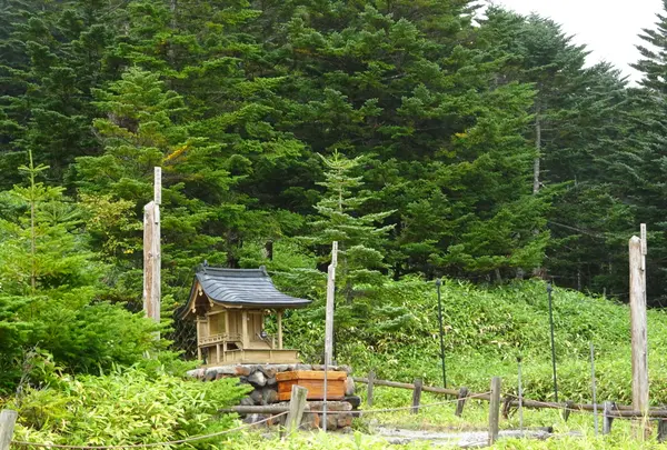 横岳神社の写真・動画_image_638169