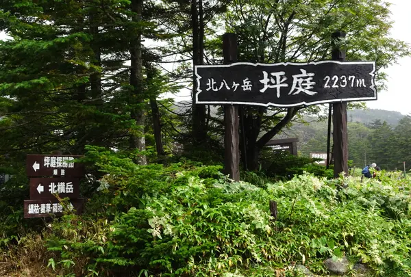 坪庭の写真・動画_image_638170