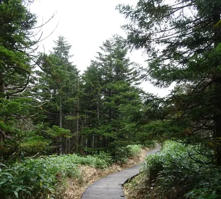 坪庭の写真・動画_image_638175