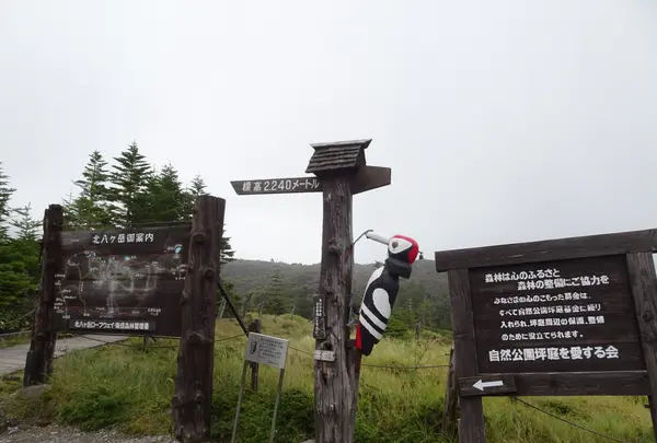 坪庭の写真・動画_image_638176