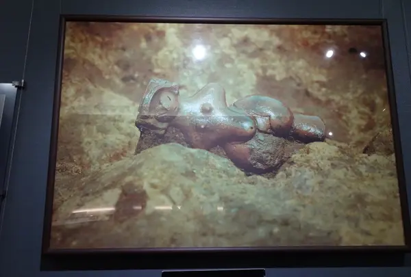 茅野市尖石縄文考古館の写真・動画_image_638185