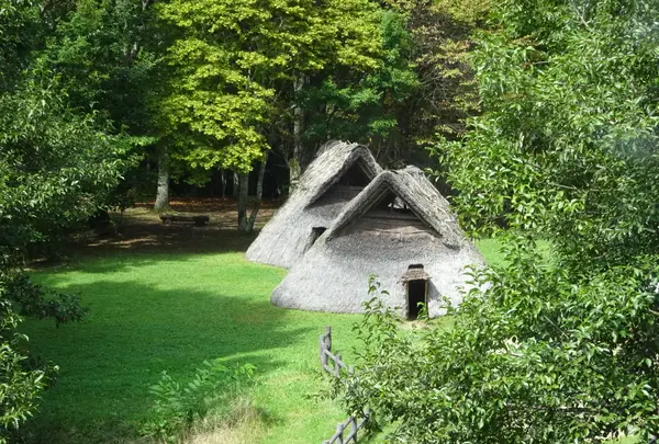 茅野市尖石縄文考古館の写真・動画_image_638189