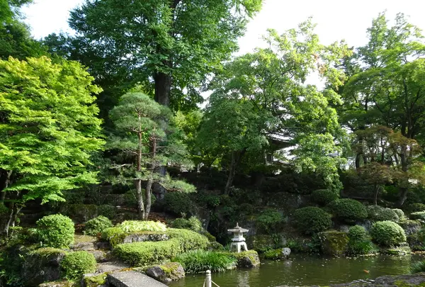 温泉寺の写真・動画_image_638197