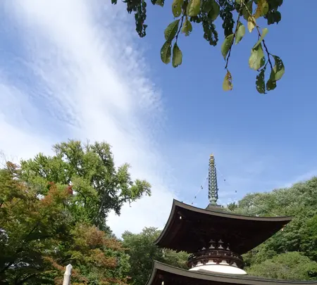 温泉寺の写真・動画_image_638198