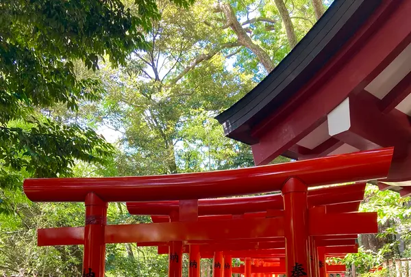 來宮神社の写真・動画_image_638737