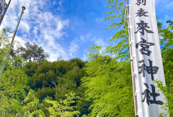 來宮神社の写真・動画_image_638738