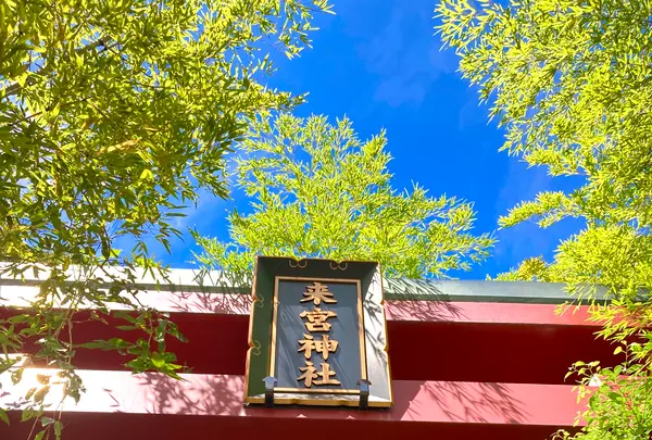 來宮神社の写真・動画_image_638742
