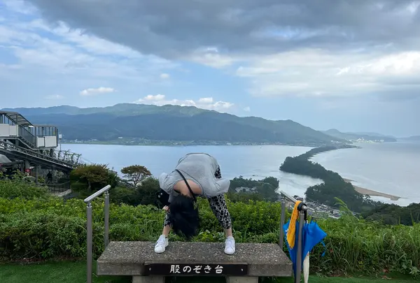天橋立ビューランドの写真・動画_image_639078
