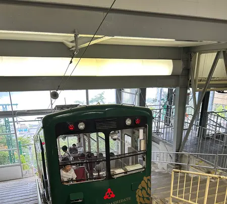 傘松公園の写真・動画_image_639080